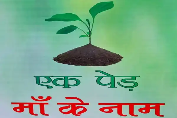 एक दिन में बदली लखनऊ की तस्वीर, अस्पतालों से पुलिस मुख्यालय तक लगा पौधों का मेला
